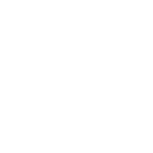 The Escort Manager